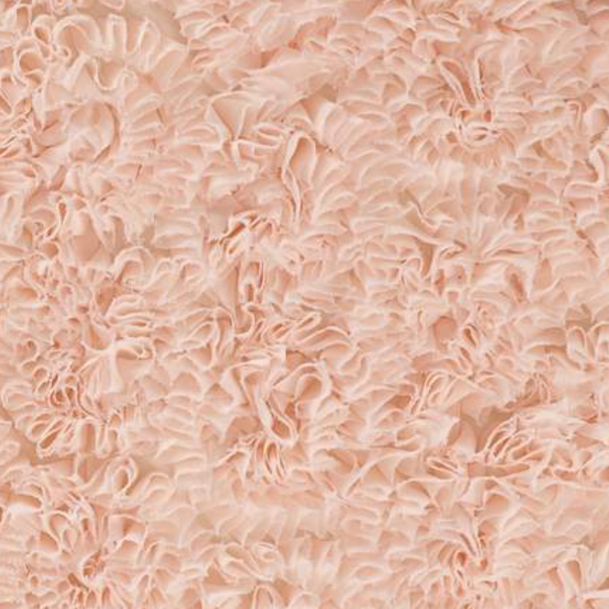 Cotton Candy Salmon
