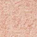 Cotton Candy Salmon